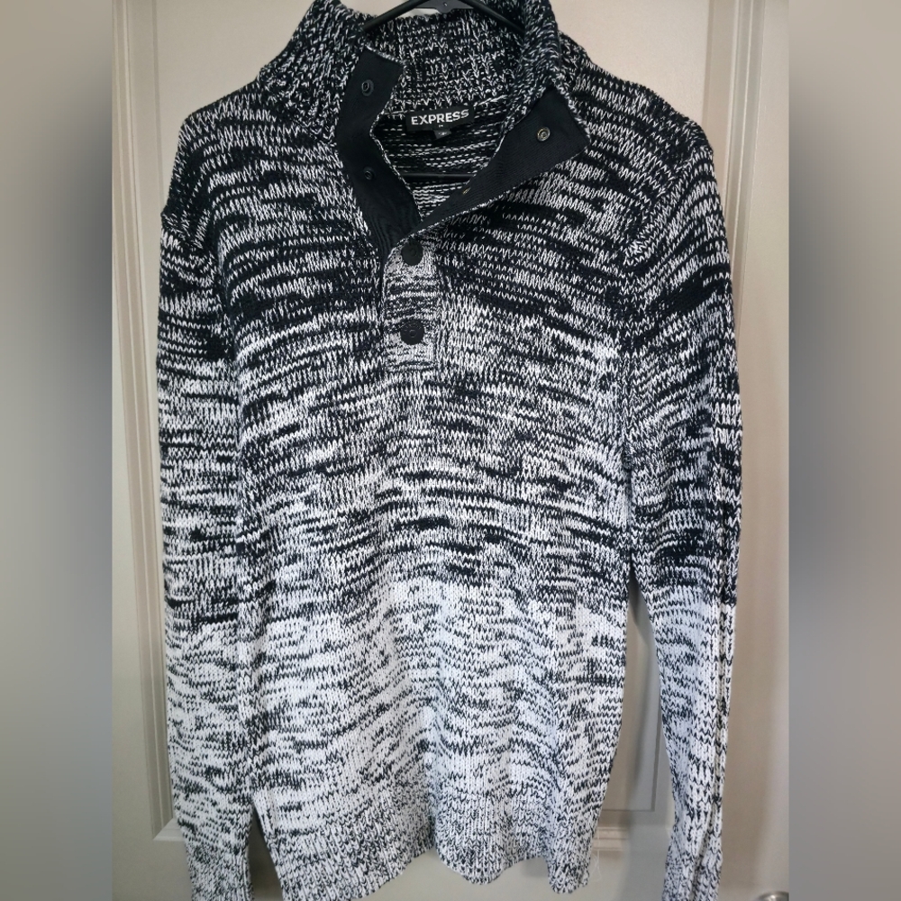 Express Monochrome Turtleneck Sweater